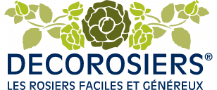 Logo Decorosiers